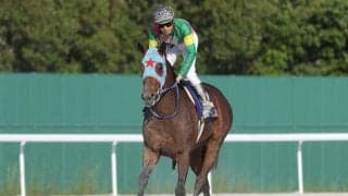 【根岸S展望】好走条件揃う7歳馬タガノビューティーの重賞初制覇を期待