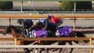 シヴァースなど、きさらぎ賞1週前追い切り速報/栗東トレセンニュース