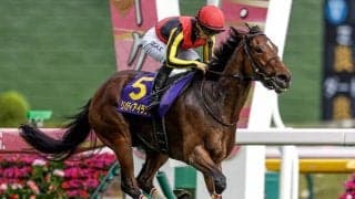 3歳芝トップはリバティアイランドでレーティング121 2023年度JPNサラブレッドランキング発表