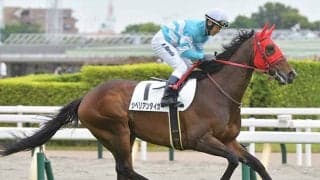 転厩初戦の13歳馬 初ダートで6年半ぶりの勝利