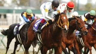 シルクロードSから名スプリンターたち続々 羽ばたいていった名馬たちとは？