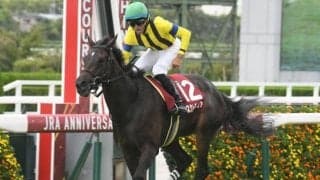 【東京新聞杯想定】マスクトディーヴァ、ジャスティンカフェなど20頭