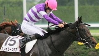 前走条件クラス組から23年ぶりの覇者へ ダート転向後5戦4勝の実力者が根岸S参戦