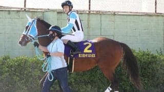 【根岸S予想】超人気薄なら面白い！ AIが推奨した“穴馬”をデータ面から徹底分析