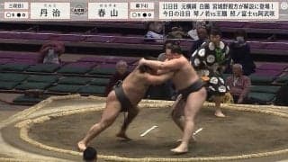 髷、いや、髪を掴んだので反則 「これはアカン」強すぎる期待の力士が招いた珍事