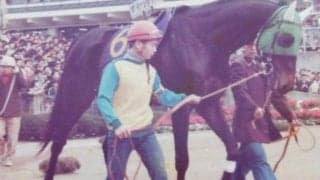 待たれる第二のグリーングラス 出産シーズンを迎えた馬産地から“青森産”の名馬を回想