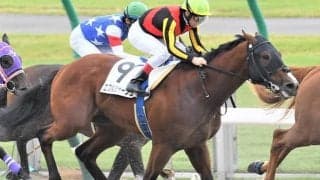 馬体重634kgの超大型馬が大井2Rを勝利 地方競馬平地競走における最高馬体重勝利記録を更新