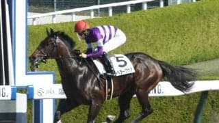 【根岸S出走馬・騎手確定】エンペラーワケア＆川田将雅騎手、サンライズフレイム＆藤岡康太騎手など16頭