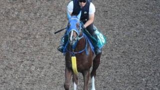 ナイスネイチャの近親ライスネイチャ 仕切り直しの一戦でデビューVなるか