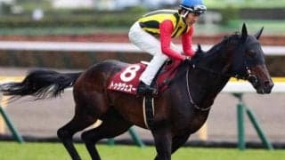 永島まなみ騎手が自厩舎の9歳馬とコンビ結成 シルクロードSで人馬ともに重賞初Vなるか