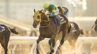 【TCK】2023年東京大賞典が世界のトップ 100・G1レースにランクイン