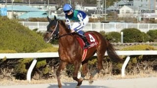 【姫路・兵庫クイーンセレクション】渡邊竜「よく辛抱してくれた」ニジイロハーピーが重賞初制覇