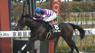 【根岸S枠順確定】エンペラーワケアは4枠7番、サンライズフレイムは5枠10番