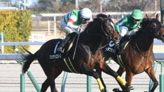 開幕週の東京芝は内有利 好枠ゲットのシュヴァリエローズのイン差しが嵌まるか