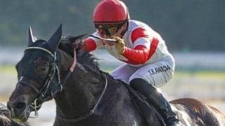 セレクト2億超えの超良血馬 クロッカスSで巻き返しVなるか