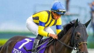 【東京新聞杯想定馬・騎手】マスクトディーヴァ、ウンブライルなど25頭