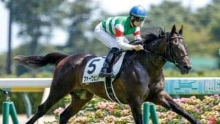 【きさらぎ賞想定馬・騎手】ファーヴェント、シヴァースなど11頭