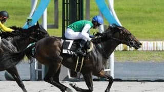 根岸Ｓは明け４歳馬に人気が集まるも、馬券的には時計面で実績ある５歳馬に妙味あり