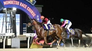 【ホッカイドウ競馬】年度代表馬はモズミギカタアガリ