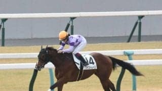 【京都4R新馬戦結果】リアルスティール産駒のファストレーンがデビューV！