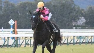 【白梅賞結果】スマートスピアが差し切って無傷の2連勝