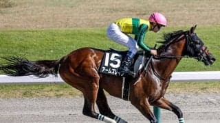 【根岸S予想】勢いよりも距離適性!? スピードだけでは押し切れない府中のダート1400m