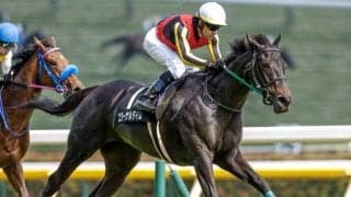 【シルクロードS予想】高松宮記念に直結する重要な一戦！ 主役は圧倒的な良績を残す前走1200m組