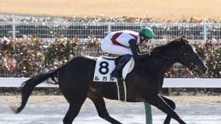 【シルクロードS前日オッズ】ルガルが3.4倍で1番人気