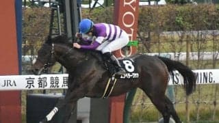 【根岸S前日オッズ】エンペラーワケアが3.2倍で1番人気