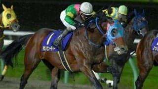 東京ダートは差し優勢 タガノビューティーの直線一気だ