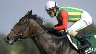 アサヒライジングの最後の仔 タッカーライジングがデビュー