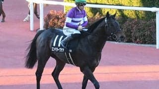 【AI予想・根岸S】上位人気馬が結果残すGI前哨戦！ 底なしのパフォーマンス続ける素質馬に期待