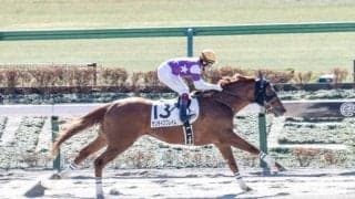 【今日の注目ポイント】東京で根岸Sと京都でシルクロードSの2重賞