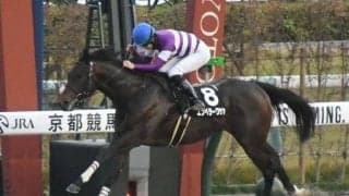 【根岸S予想】フェブラリーSとの関連性が強いレース 昨年覇者レモンポップに続くのは？