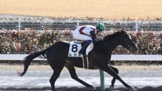 【シルクロードS予想】高松宮記念を占う一戦 今年はハンデ差よりも実力＆実績を重視したい