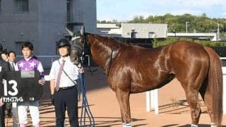 【根岸S予想】狙うは好ポジションからの上がり最速型？ 過去10年データから探る「根岸S」