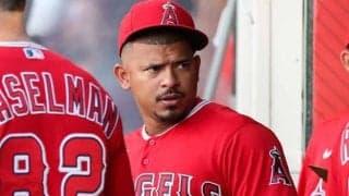 エ軍に拒否された13億円契約…キャンプ目前も見えない新天地、通算164発男の動かぬ去就