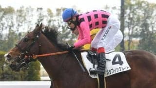 【京都5R新馬戦結果】ロードカナロア産駒パシフィックルートが競り合いを制す