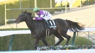 【根岸S・馬体重】エンペラーワケアは534kg(±0)、サンライズフレイムは512kg(+4)