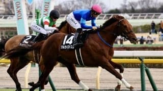 【節分S】クルゼイロドスルが人気に応える