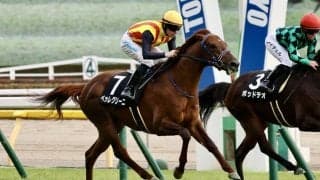 【セントポーリア賞】キングスコート騎乗、ペッレグリーニが2連勝