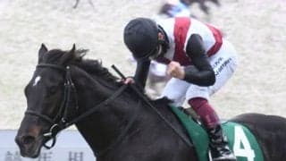 【シルクロードS結果】ルガルが3馬身差完勝で重賞初制覇