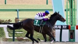 【根岸S】エンペラーワケアが3連勝で重賞初制覇