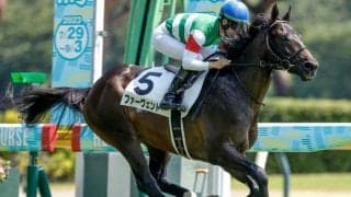 【きさらぎ賞】ファーヴェント、ヴェロキラプトルらが登録