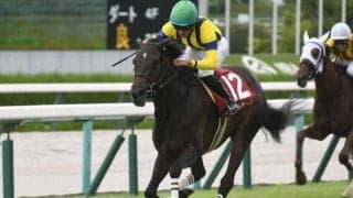 【東京新聞杯】マスクトディーヴァ、ジャスティンカフェらが登録