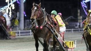 【ばんえい・ヒロインズC】ダイヤカツヒメが古馬牝馬重賞完全制覇…赤塚「だいぶ大人になってきた」