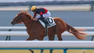 【京都4R】モアザンワンスが人気に応える