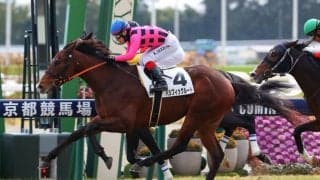 【新馬/京都5R】良血パシフィックルートがデビューV…母はファンディーナ