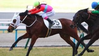 【京都12R】永島まなみ騎乗、ペイシャフラワーがしぶとく逃げ切る