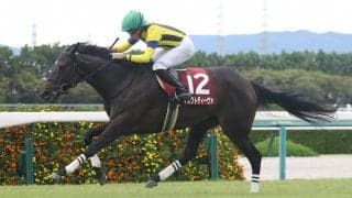 【東京新聞杯登録馬】マスクトディーヴァなど22頭